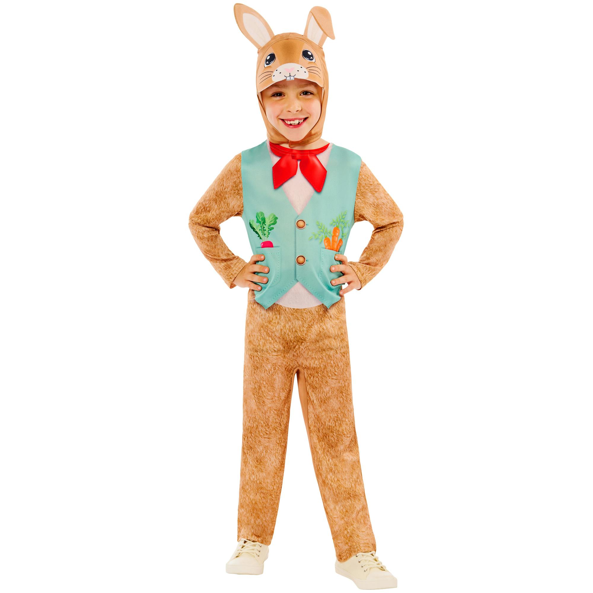 Bristol Novelty Brown/Blue/Pink Kids Rabbit Costume Set - 2-3 Years