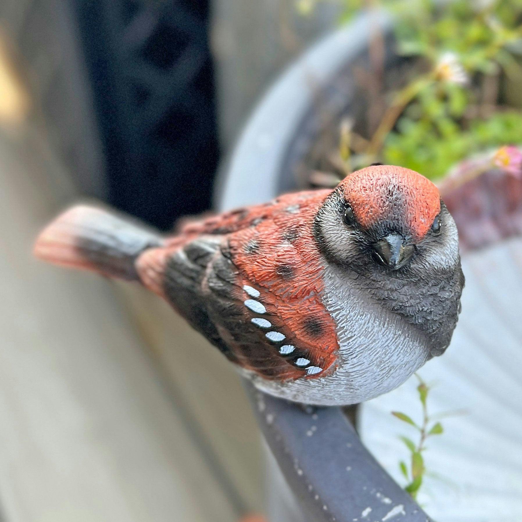 Rackhams Sparrow Bird Garden Ornament