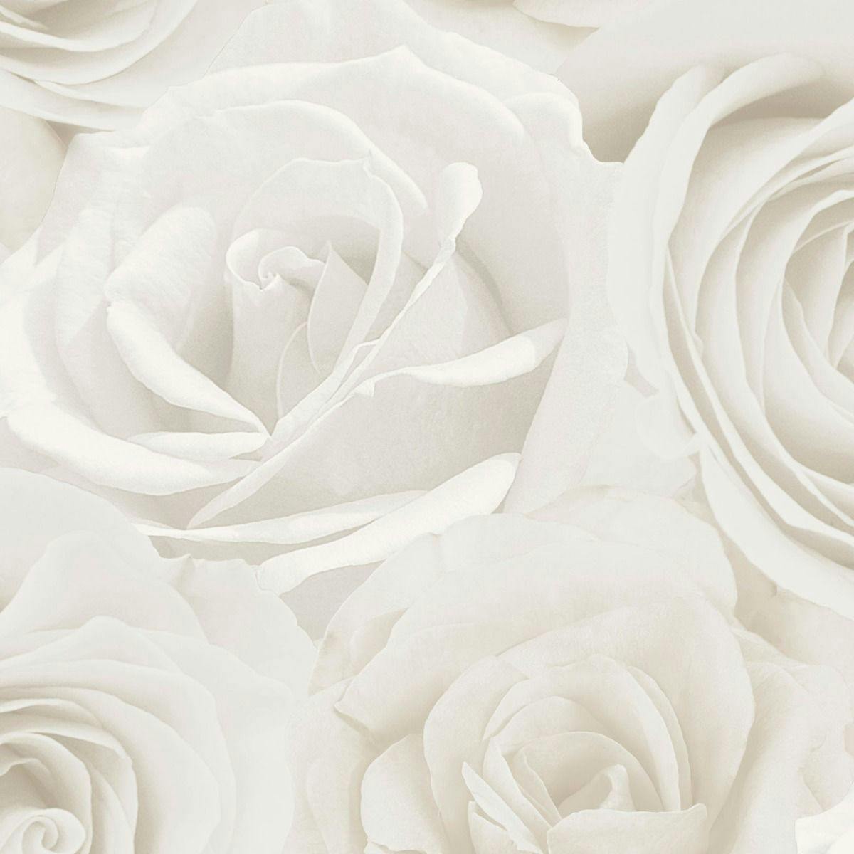World Of Wallpaper Ivory/Cream Melany Rose Wallpaper - 10M X 53Cm - 100% Mixed