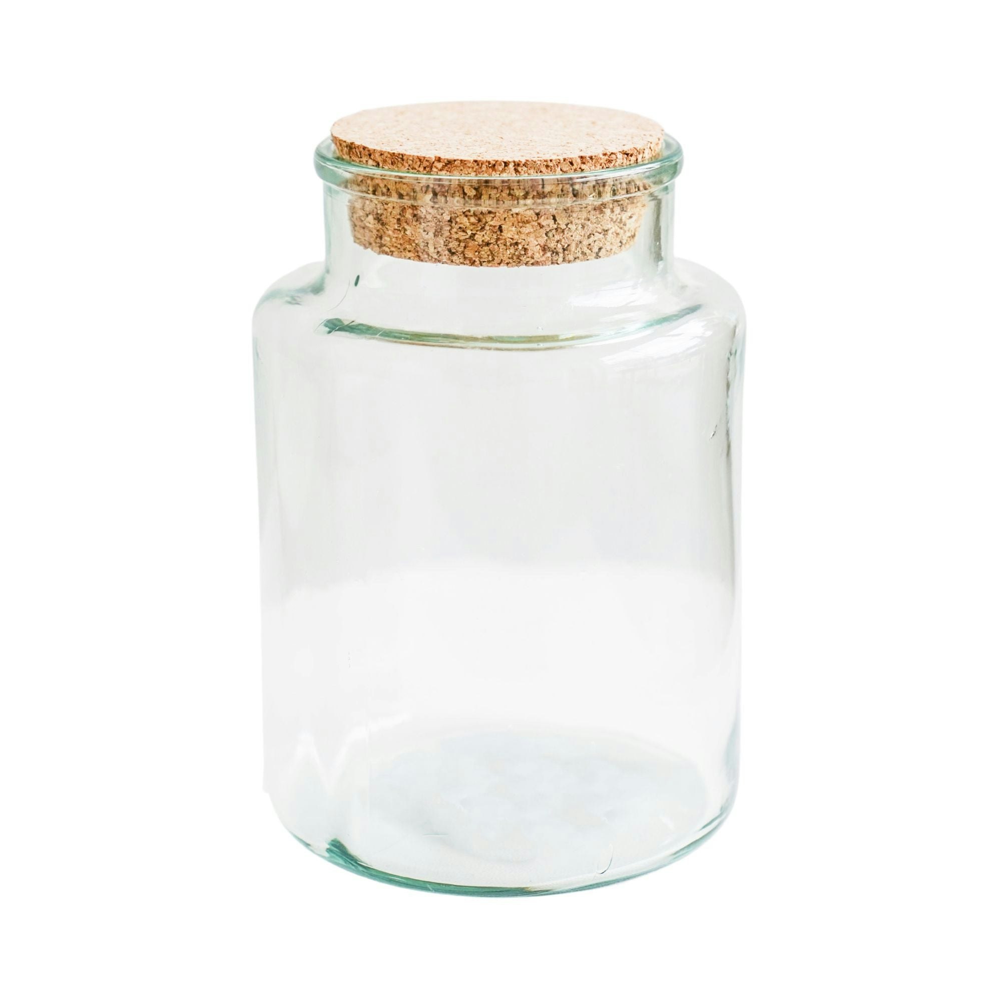 Ivyline Bottle Shape Large Terrarium Diy Kit - Large