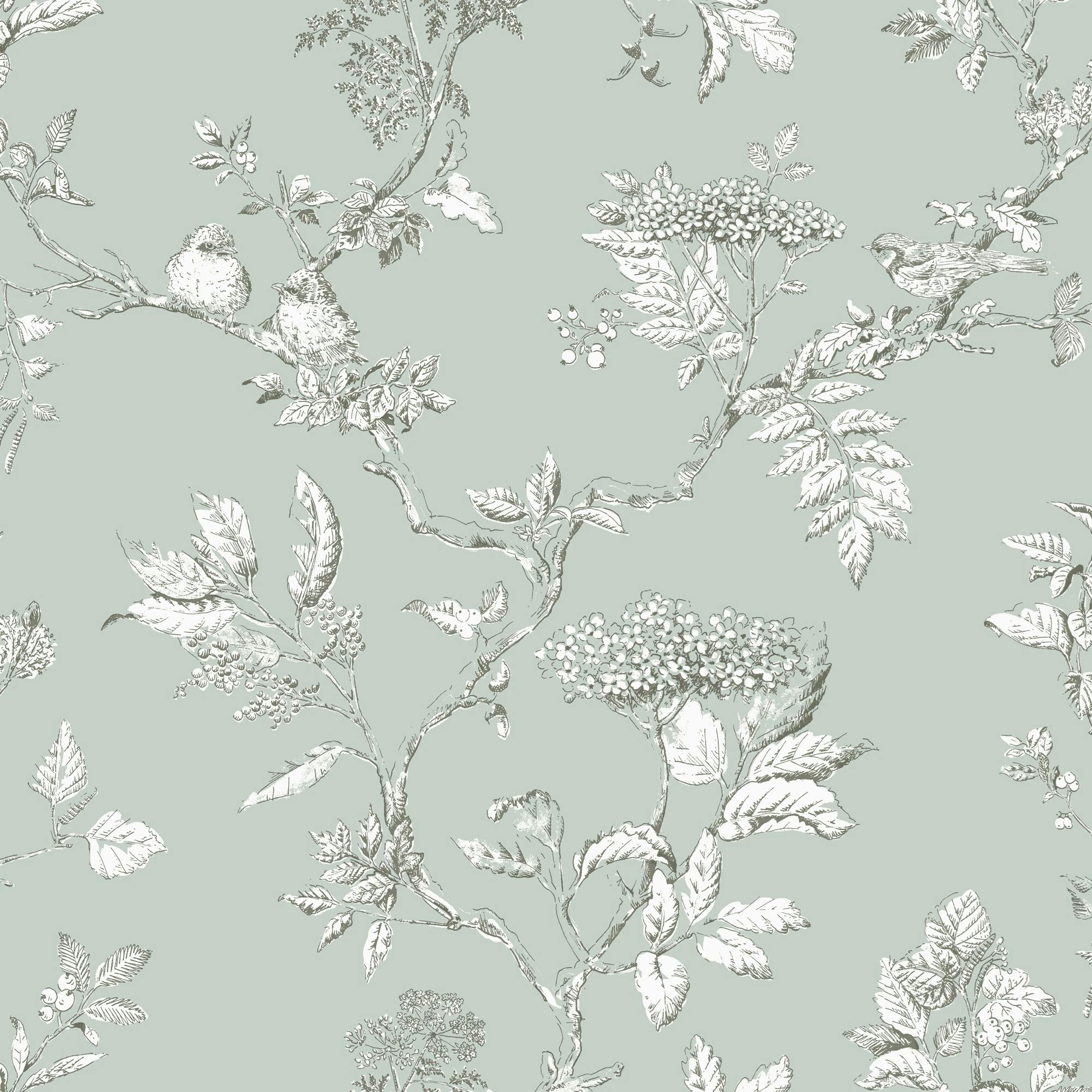 Rackhams Blue Elderwood Wallpaper - Duck Egg - 10M