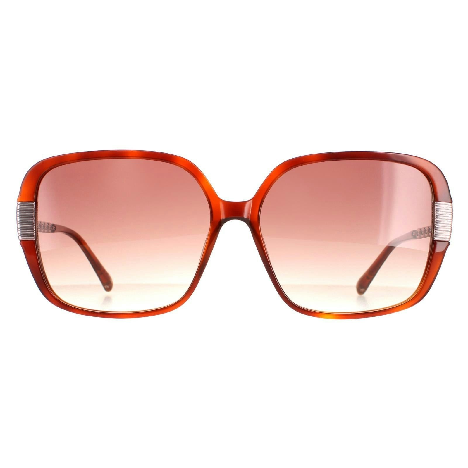 Ted Baker Women's Brown Tb1616 Indi Tortoise Sunglasses