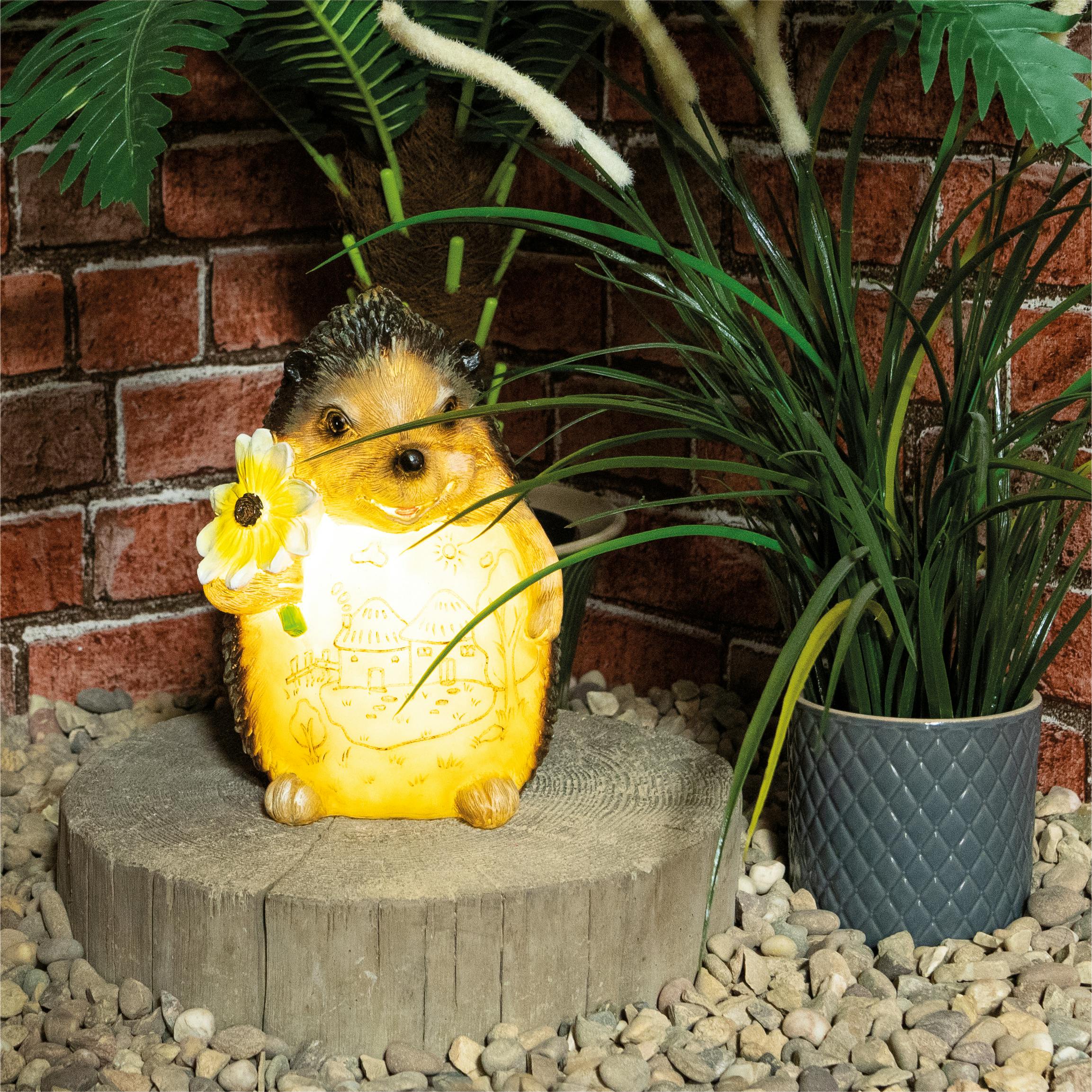 Rackhams Women's Light Hedgehog With Up Body