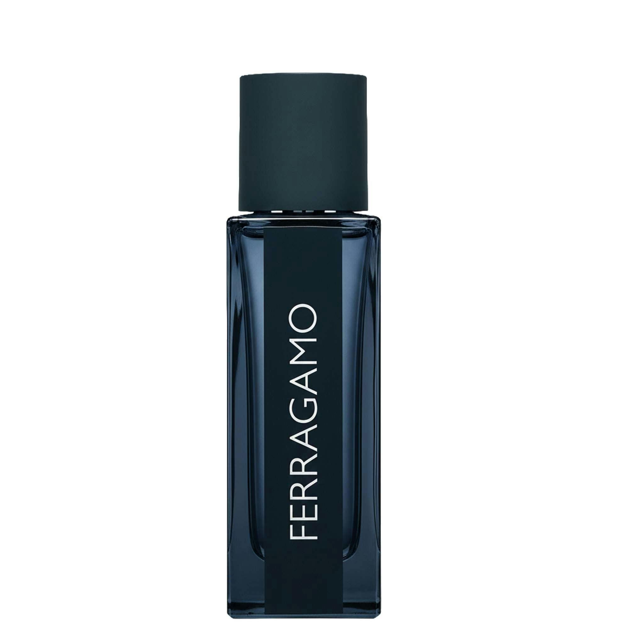 Ferragamo Men's Pink Intense Leather Eau De Parfum Spray 30Ml
