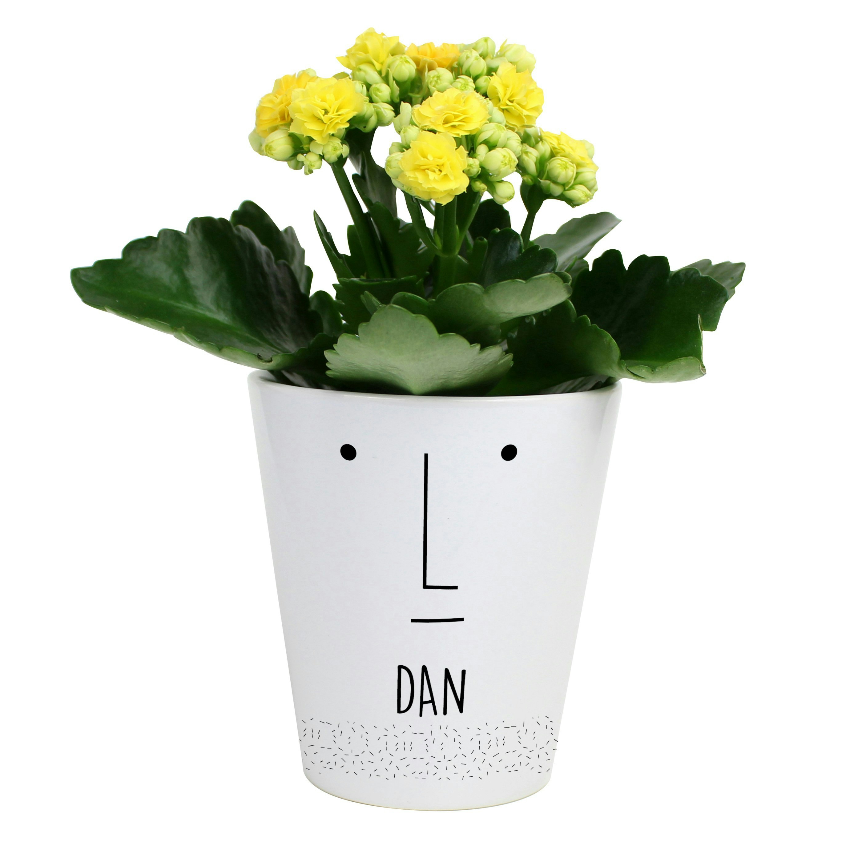 Rackhams Personalised 'Mr Face' Plant Pot