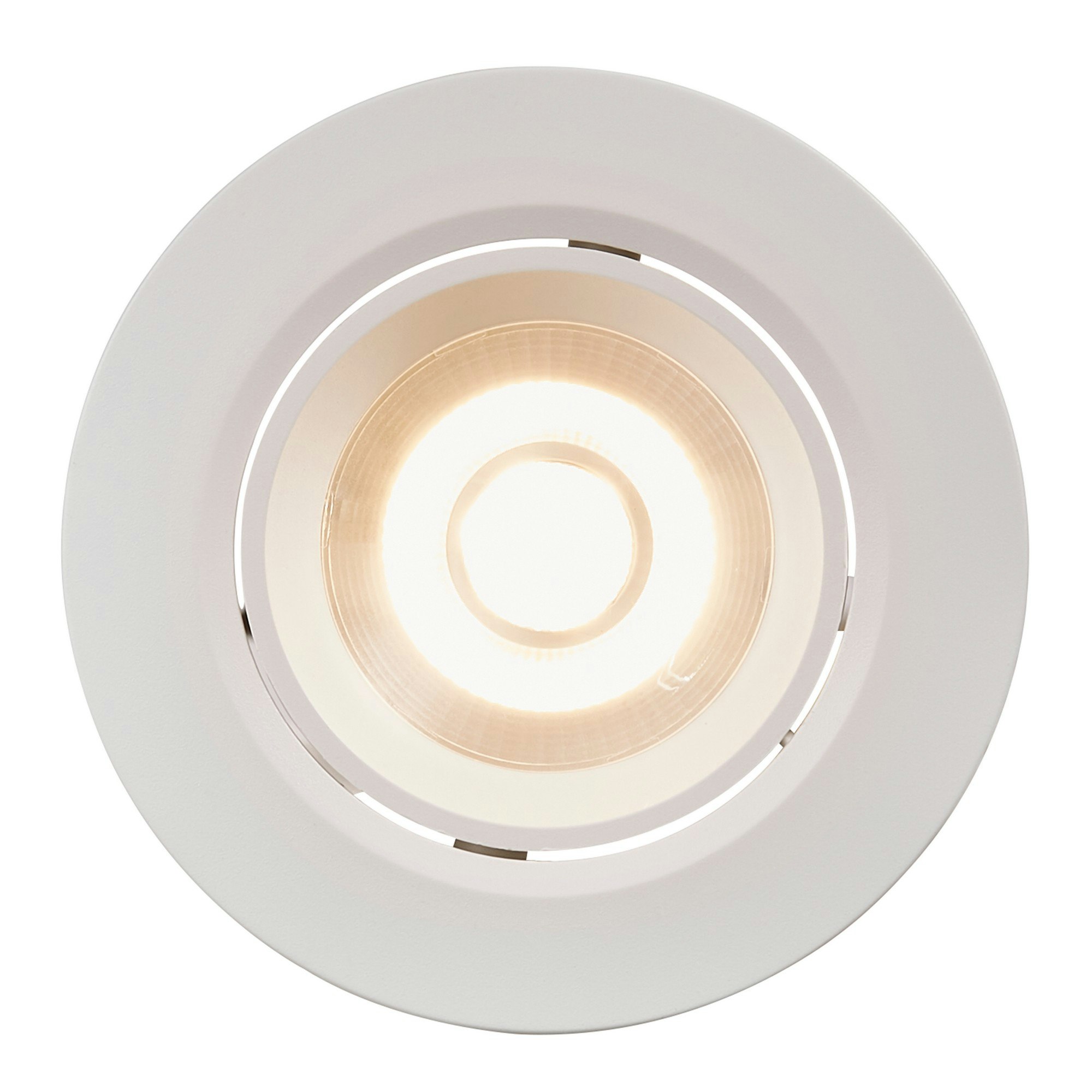 Rackhams White Roar | Downlight | - 1
