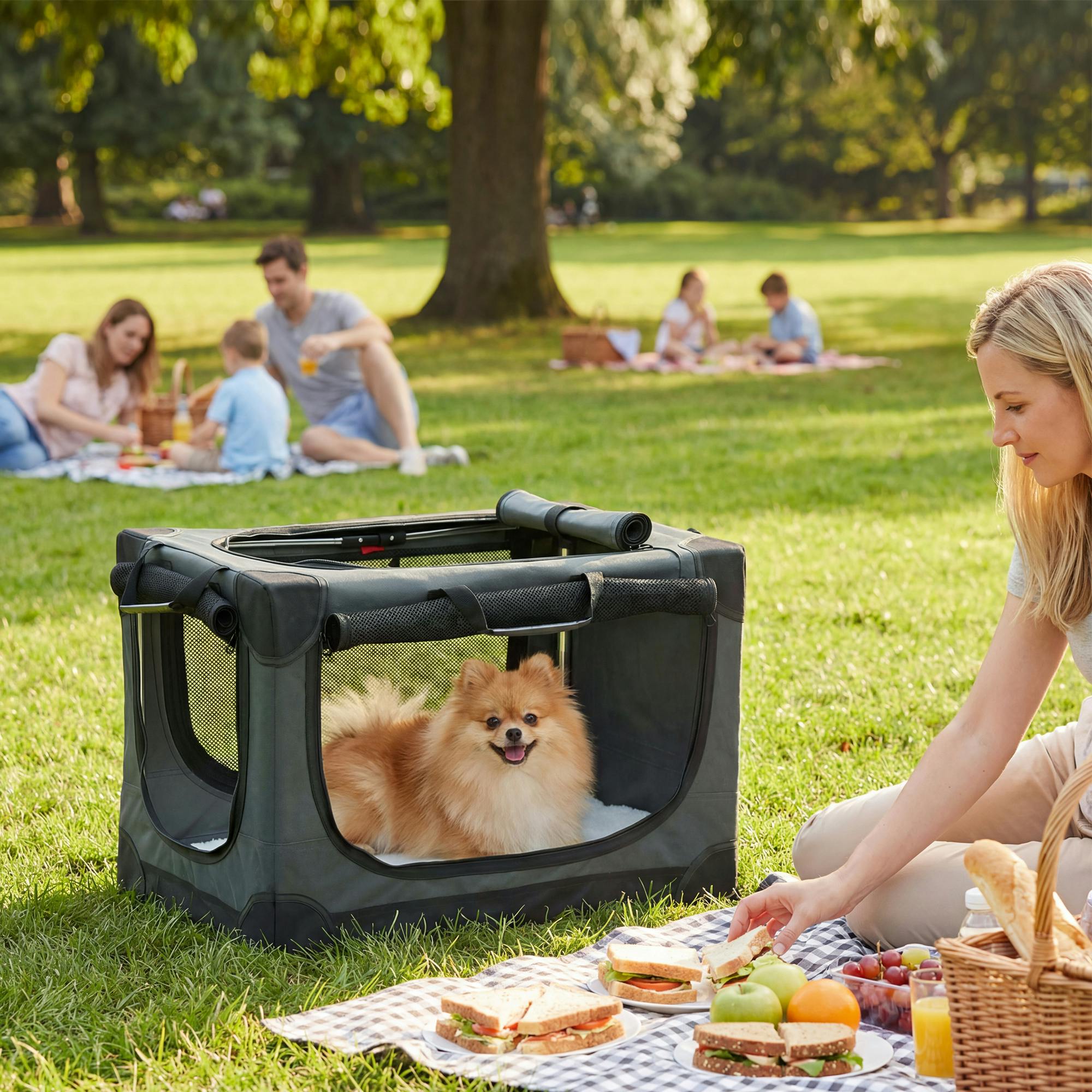 Pawhut Green Collapsible Dog Crate Portable Pet Travel Carrier 60 X 42 X 43 Cm - 1 - Army - 600D Oxford Cloth, Stainless Steel