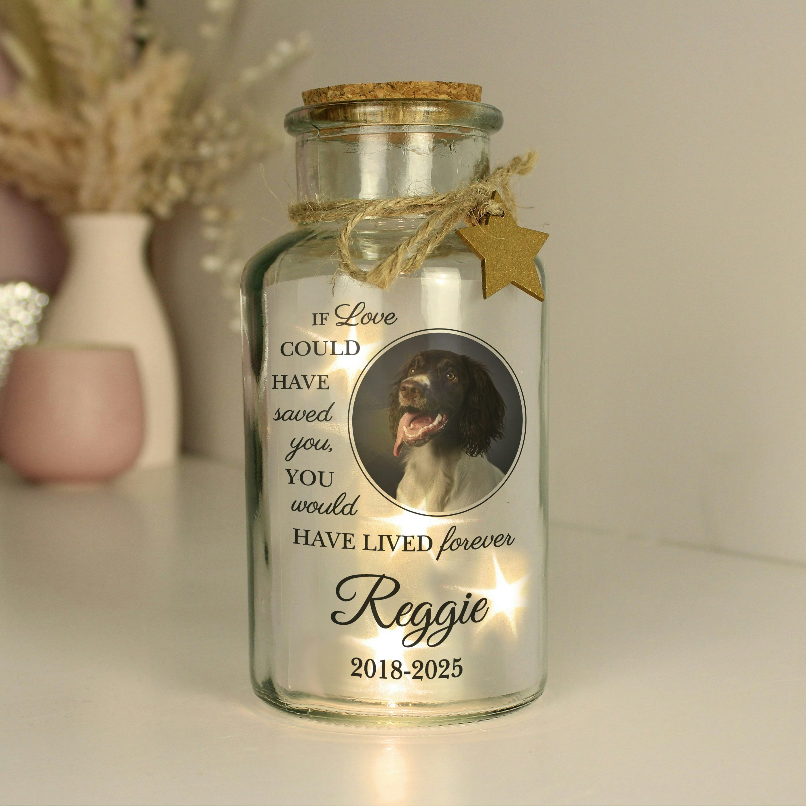 Rackhams Light Personalised Pet Memorial Photo Upload Led Up Jar