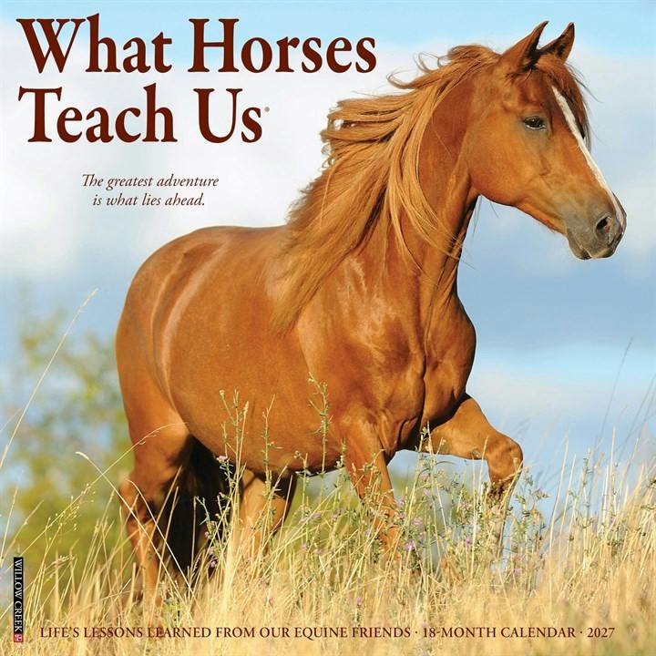 What Horses Teach Us Calendar 2027, Wall Calendars, Month To View, Animals, Gift - Image 9