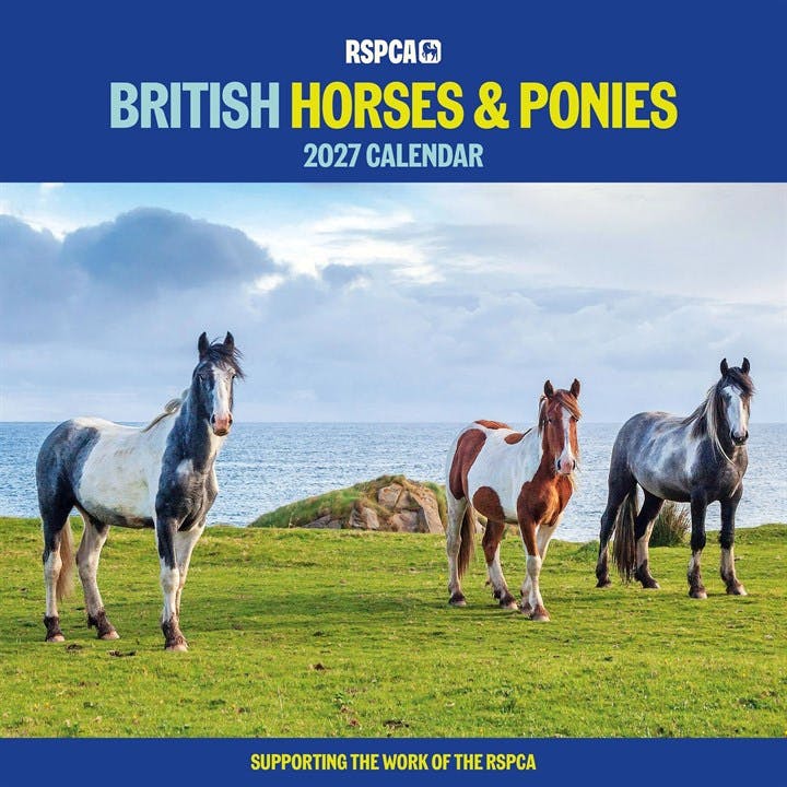 RSPCA British Horses & Ponies Wall (PFP) - Image 8