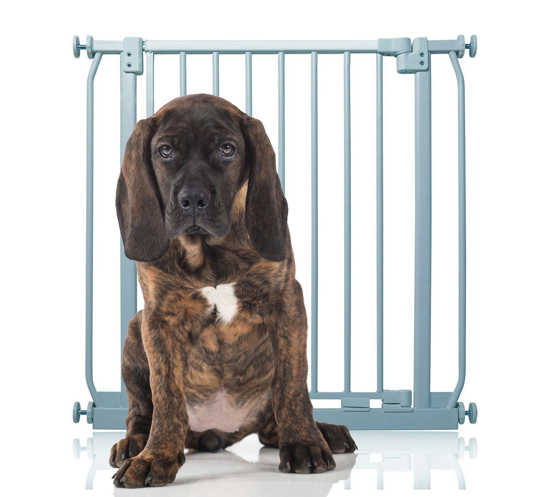 Bettacare Grey Elite Pressure Dog Gate, 71Cm - 80Cm, Matt Pressure Fit Pet Gate For Dog And Puppy
