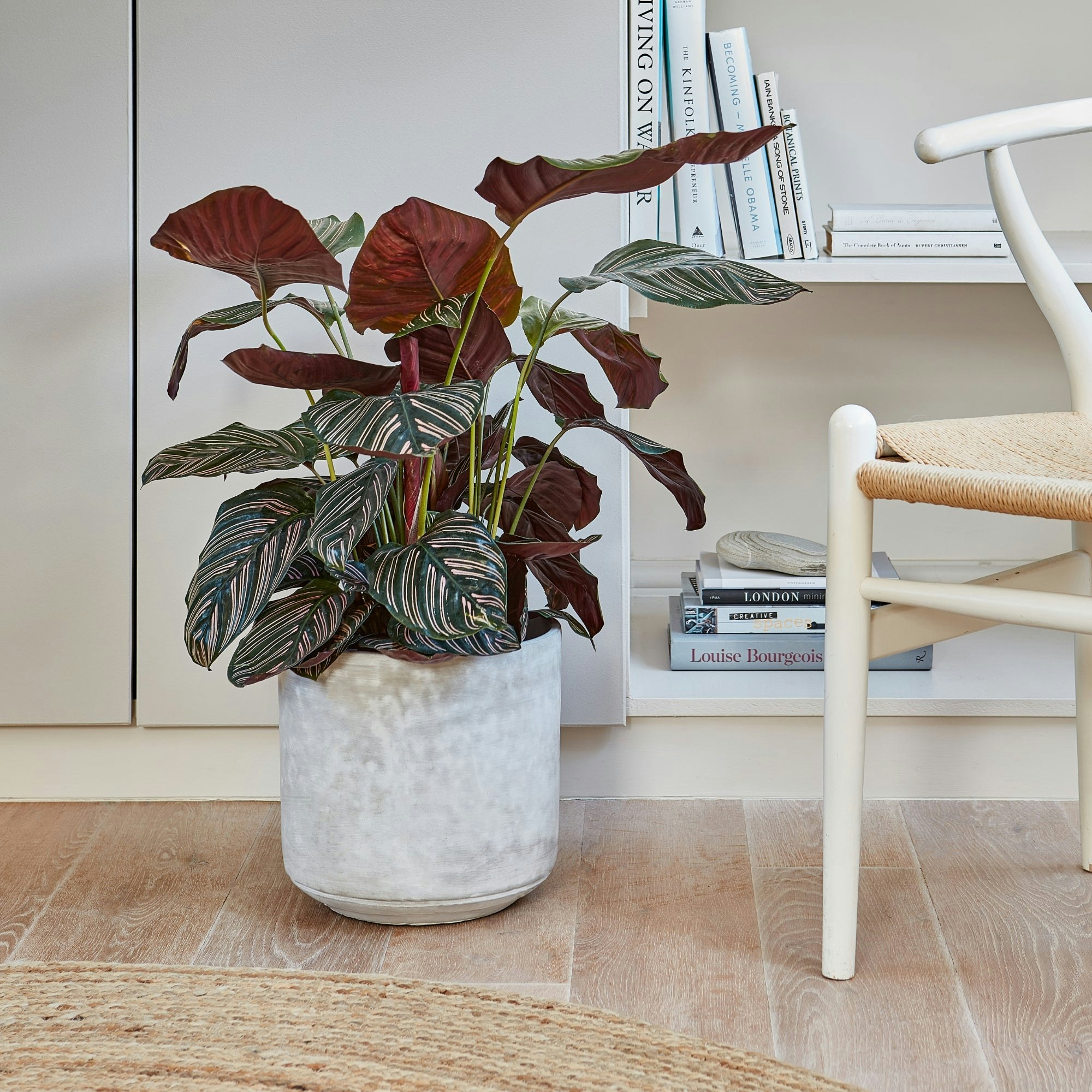 Rackhams Tivoli Planter Cement