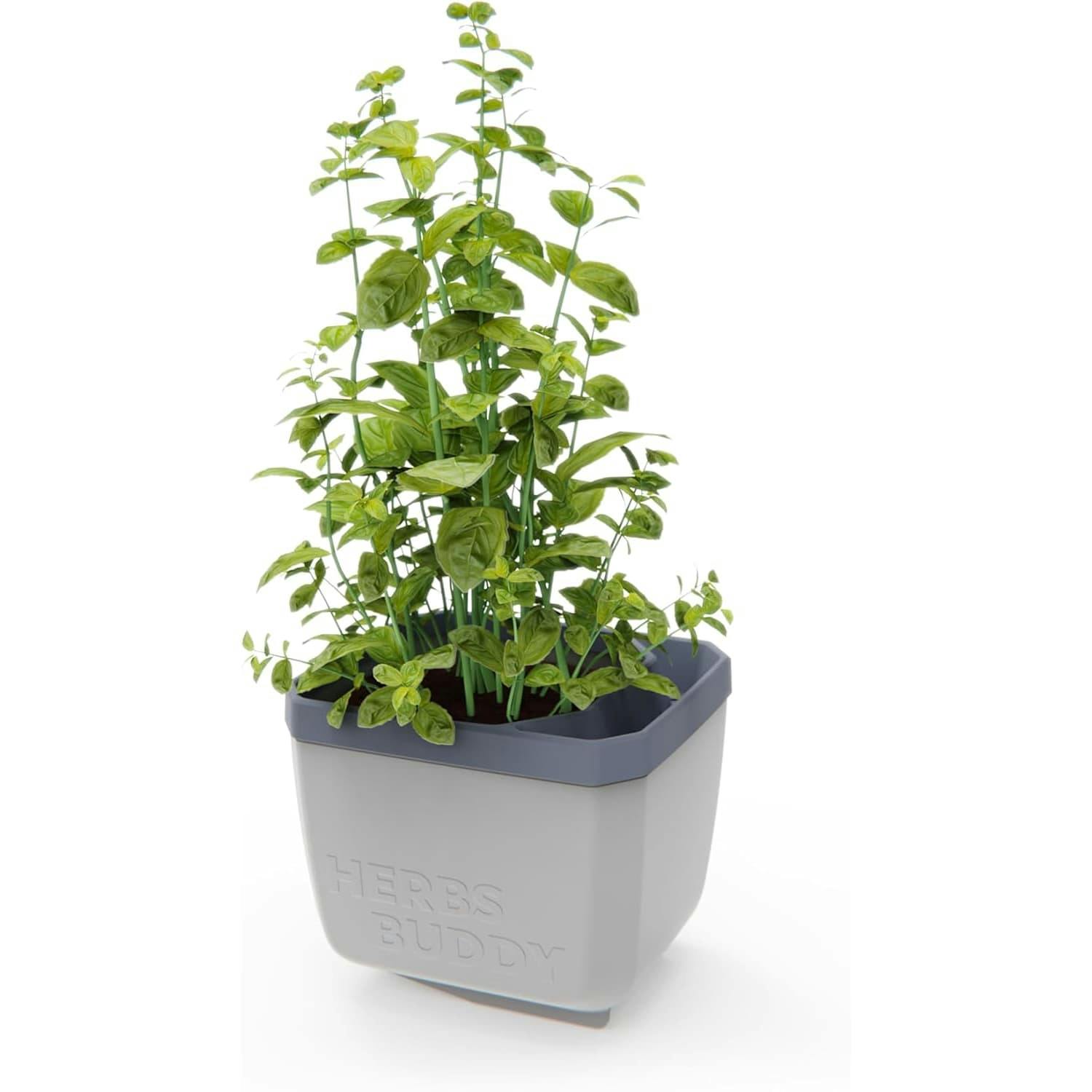 Rackhams Light/Grey Herbs Buddy Herb Pot With Water Reservoir - 1 Pc