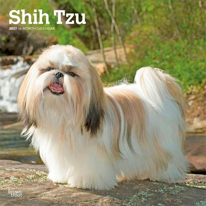 Shih Tzus Calendar 2027, Wall Calendars, Month To View, Dogs, Gift - Image 5