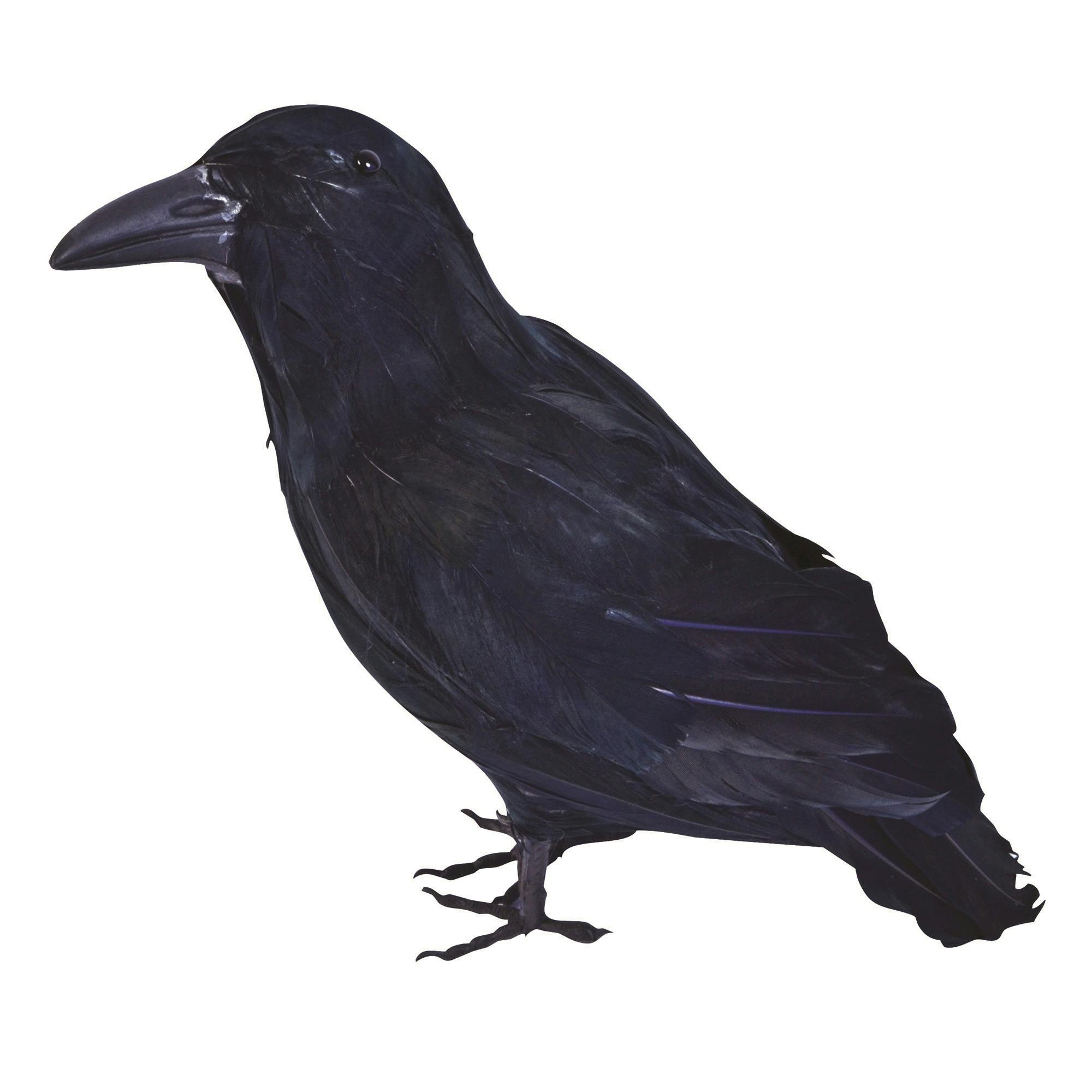 Bristol Novelty Black Feather Raven - One Size