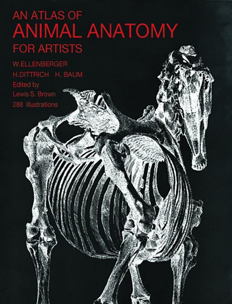 An atlas of animal anatomy for artists, by W. Ellenberger Paperback NEW - Image 10