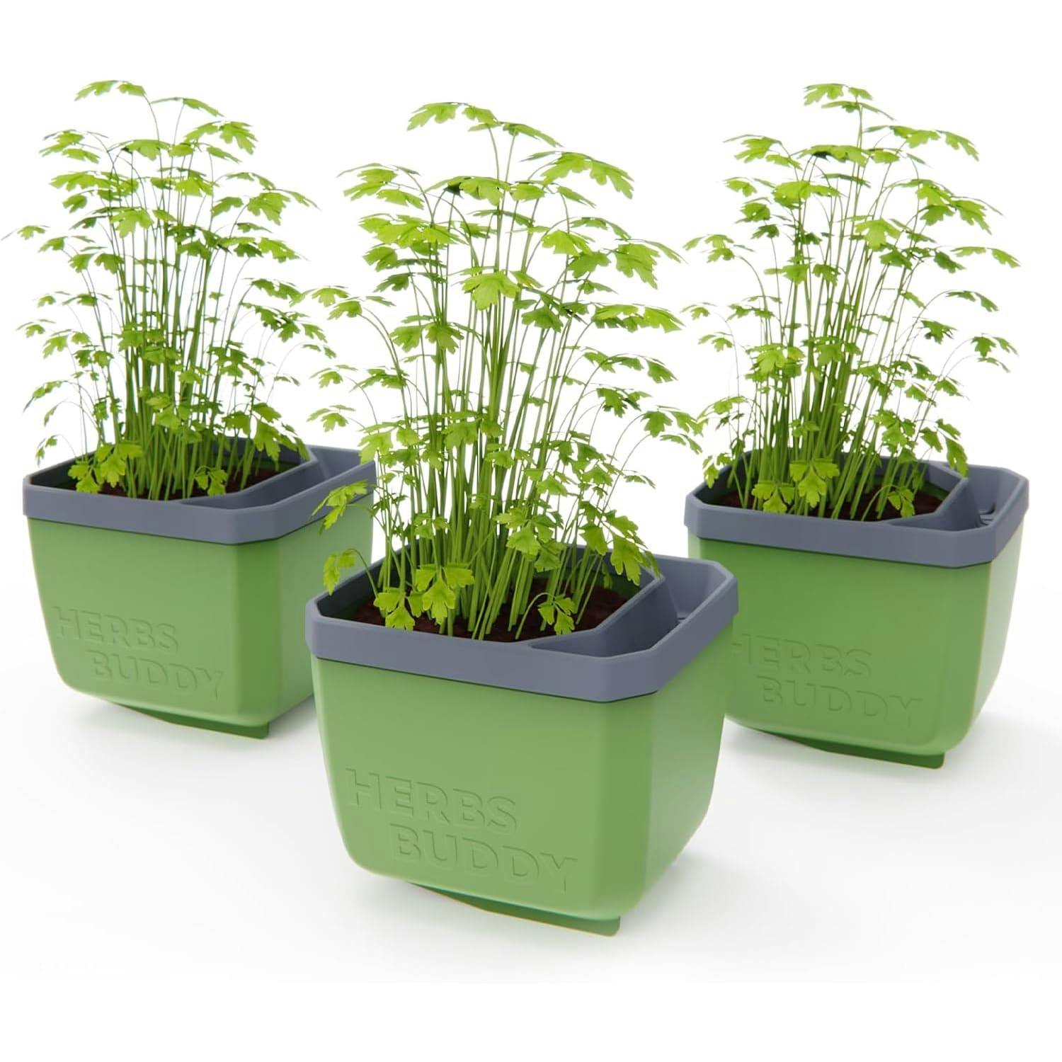 B&Q - Herbs Buddy Self-Watering Planter Pot For HerbsSpecial Water Level Indicator (3 PackDark Green) - Image 2