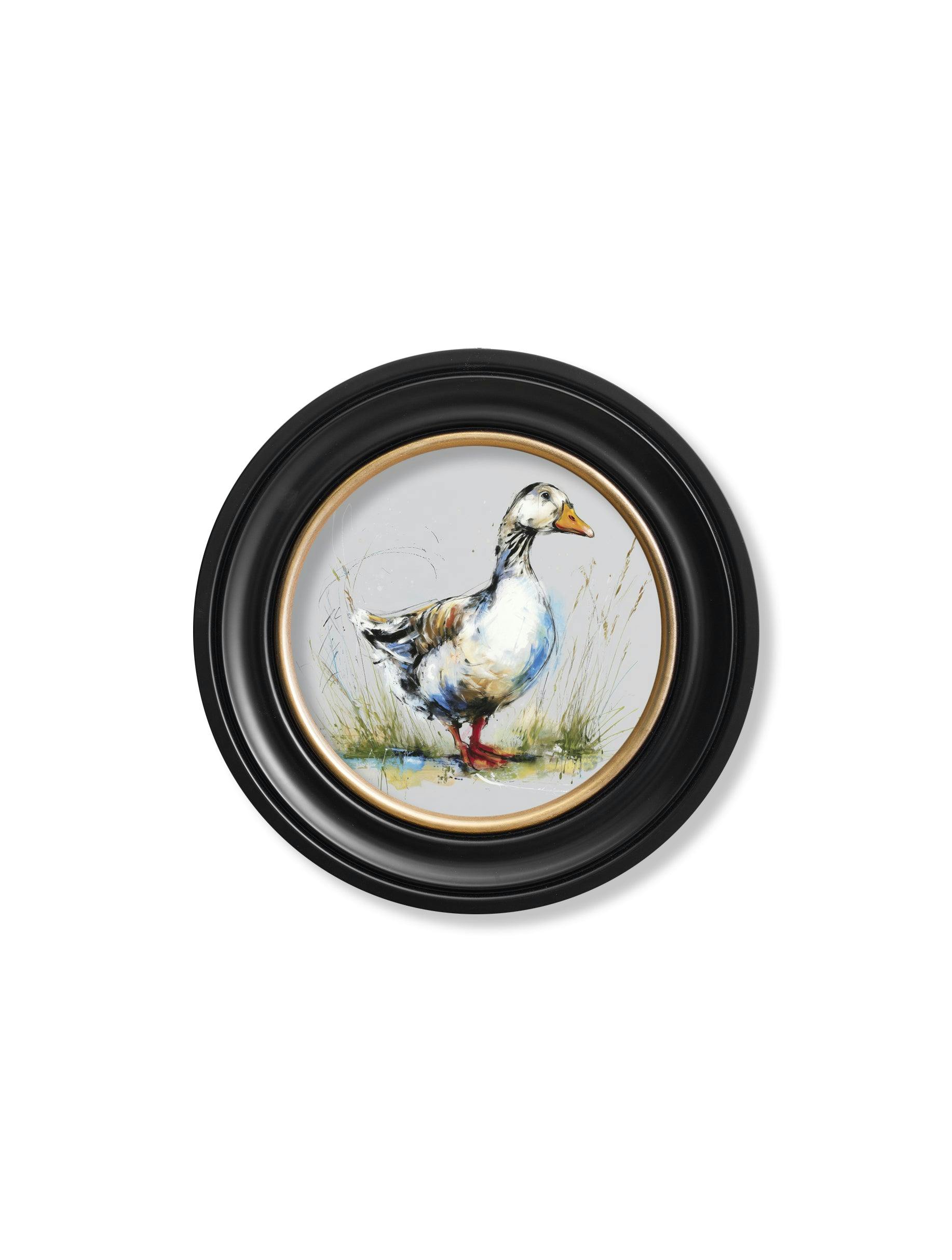 Rackhams White Goose Cosy Sketch - Oxford Round Frame - Goose Cosy Sketch - 44 X 44 Cm