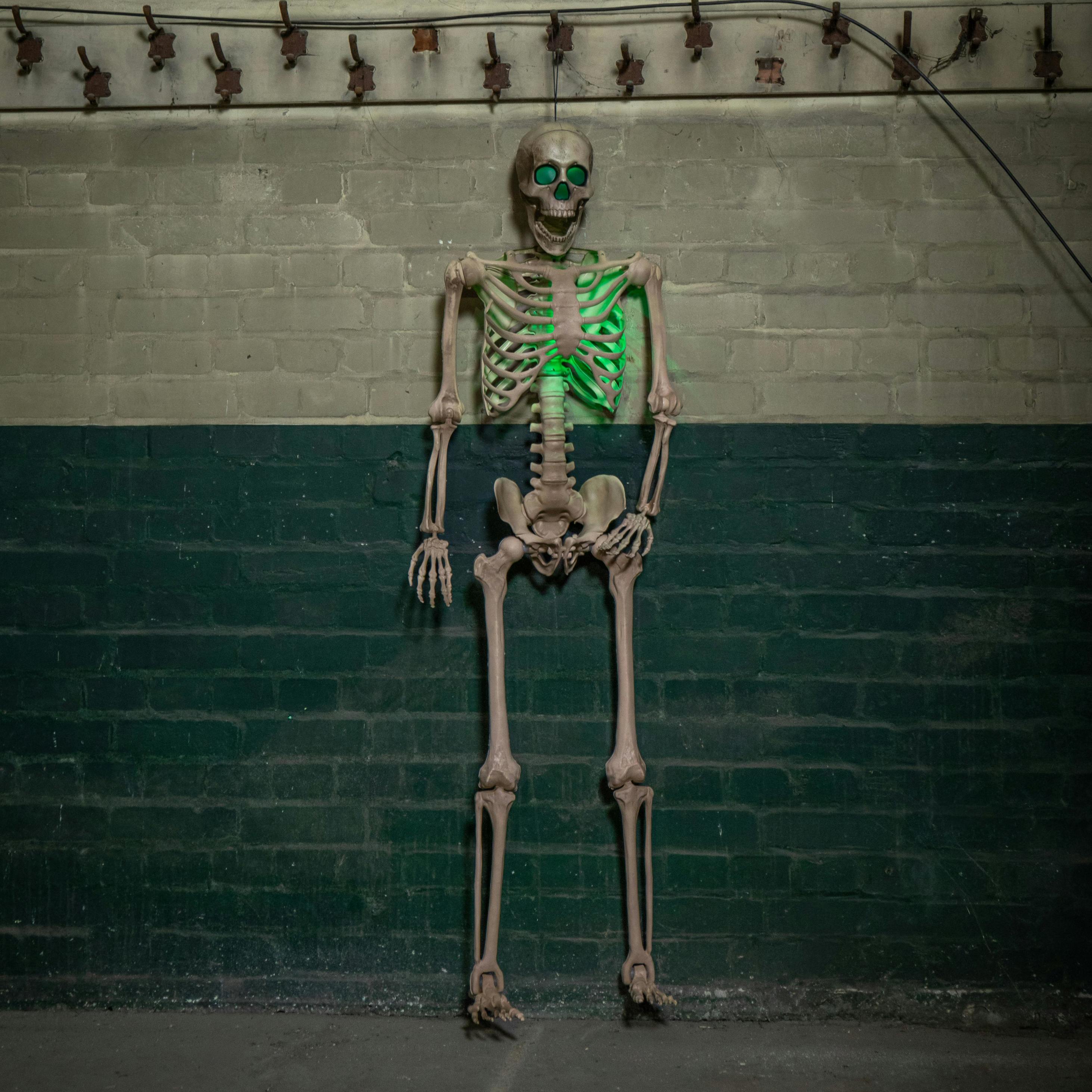 Rackhams Light/Green 5Ft (152Cm) Battery Powered Up Halloween Skeleton With Poseable Joints & Leds