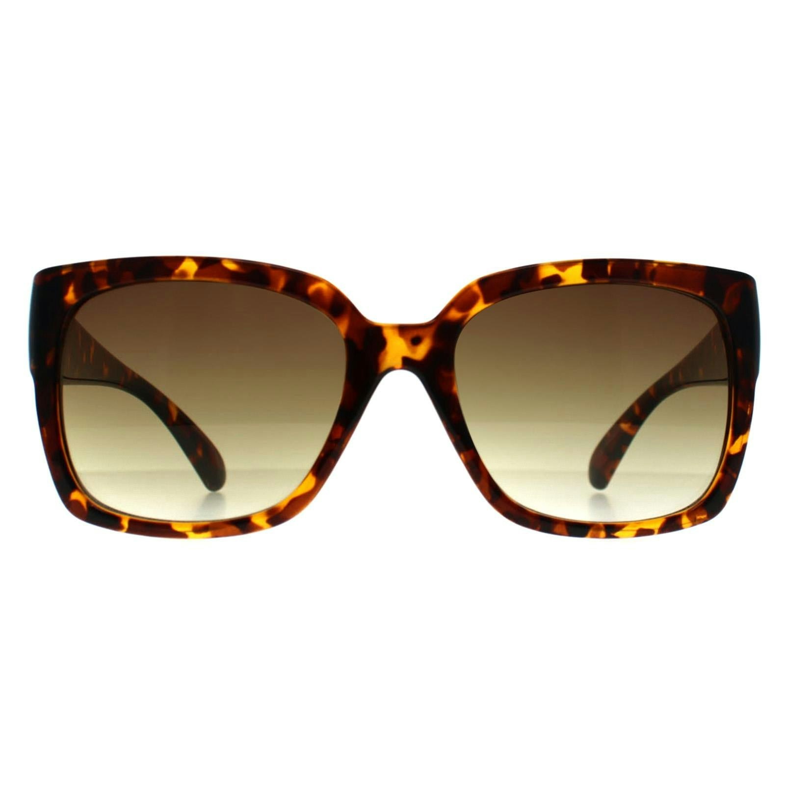 Calvin Klein Women's Brown Ck22549s Shiny Havana Sunglasses