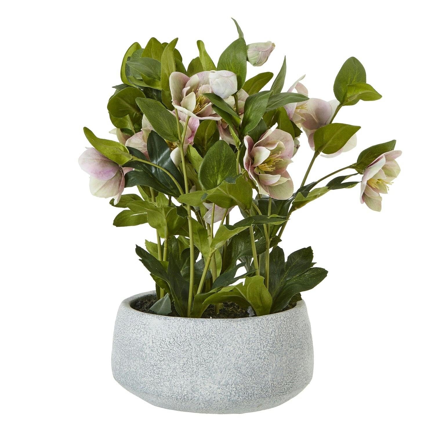 Wyld Haus Pink/Grey Artificial Plant Variegated Hellebore Plant In Ceramic Pot