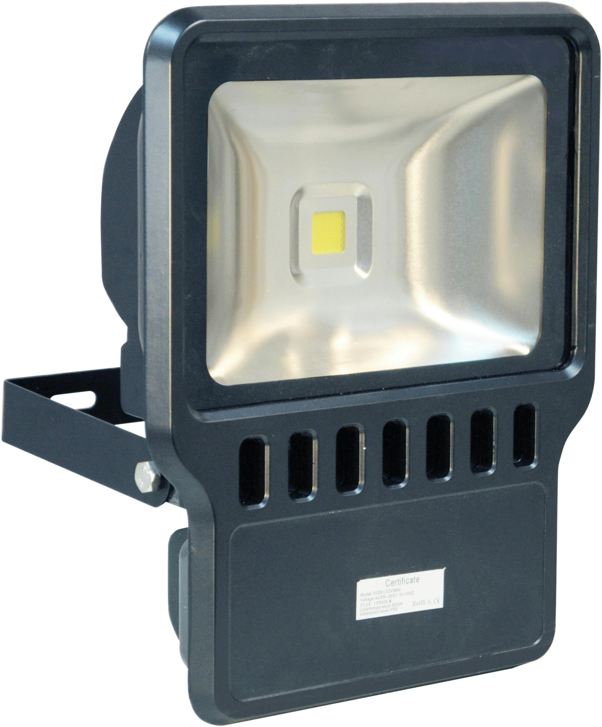 Eagle Light 100W Led Flood