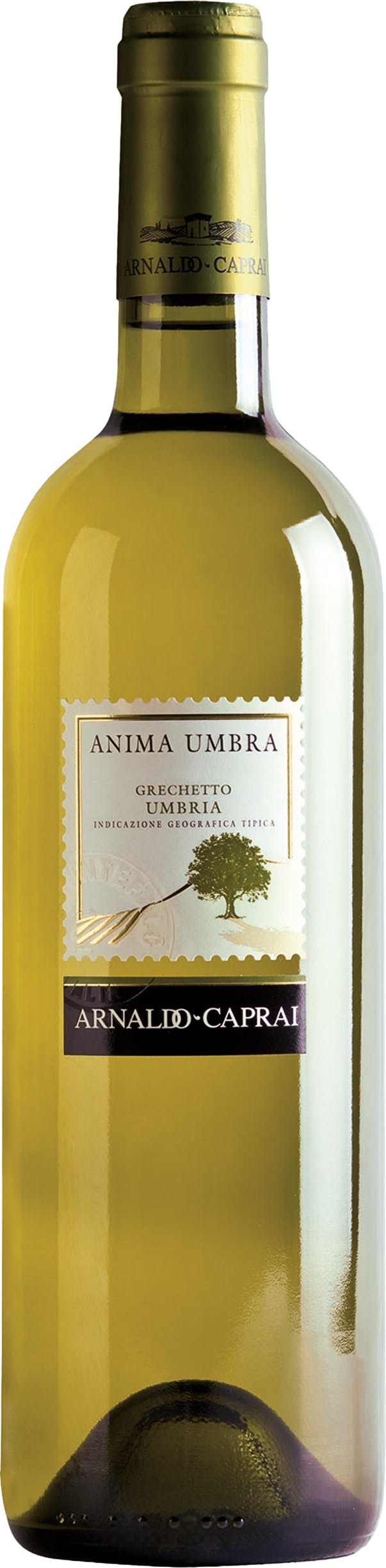 Various Wine White/Yellow/Peach Arnaldo Caprai Anima Umbra Grechetto 2025 75Cl - Pack Of 6