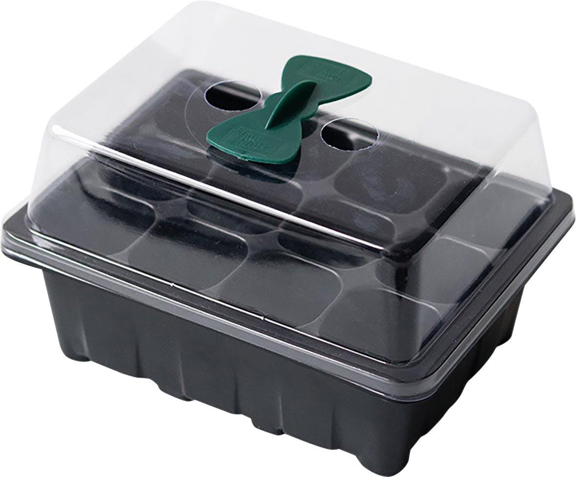 Rackhams Seed Tray 12 Holes