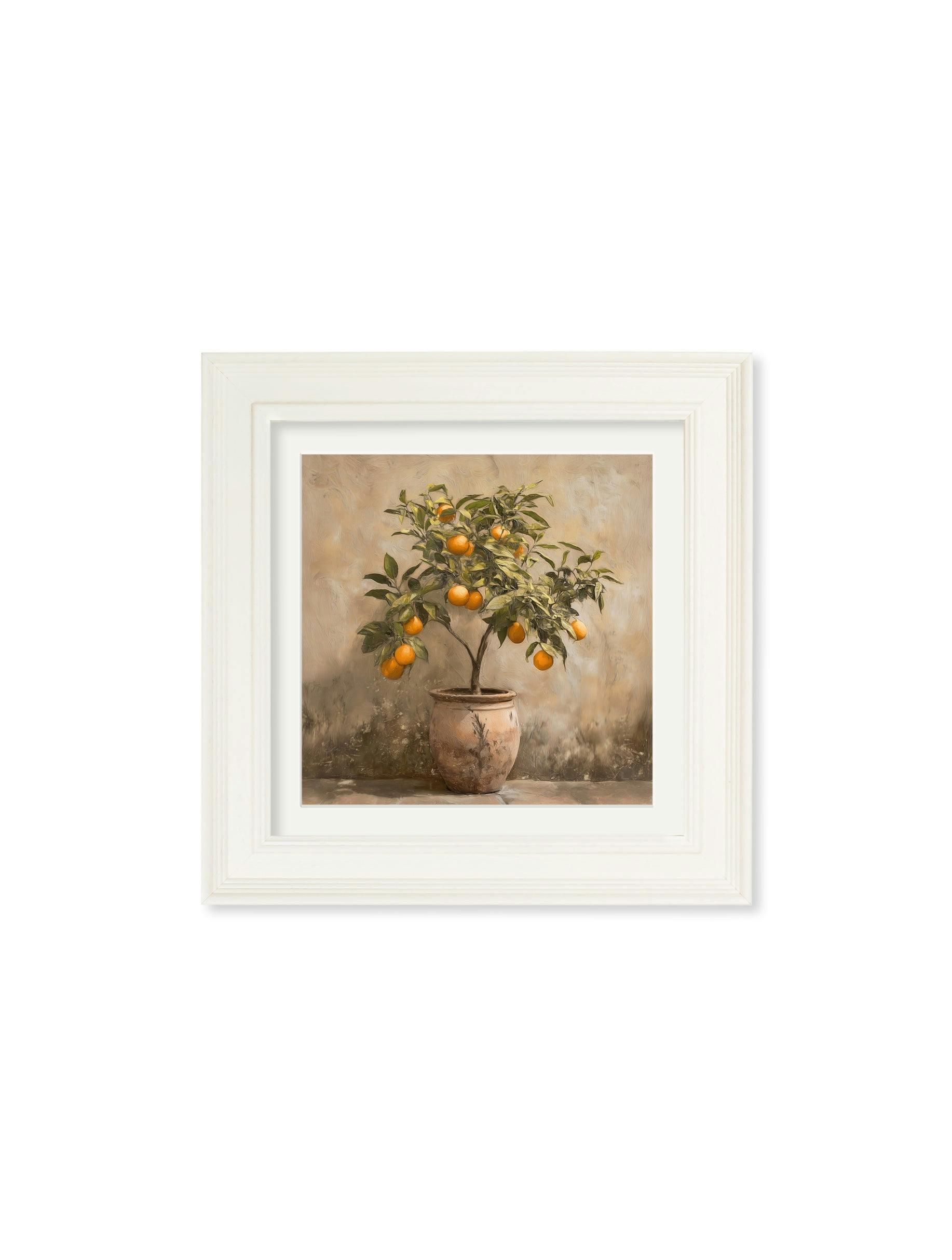 Rackhams Orange/Cream Mediterranean Tree - Hurstwood Square Frame - Hurstwood Square - Mediterranean Tree - 44 X 44 Cm