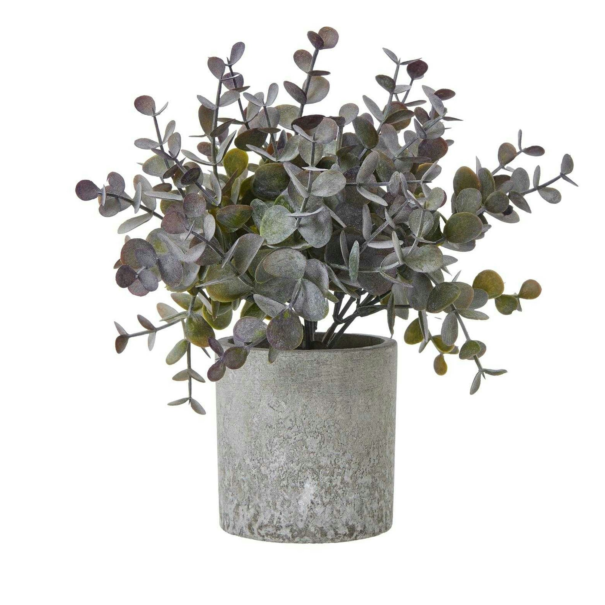 Hill Interiors Green Eucalyptus Cinerea Artificial Plant - / - 22Cm