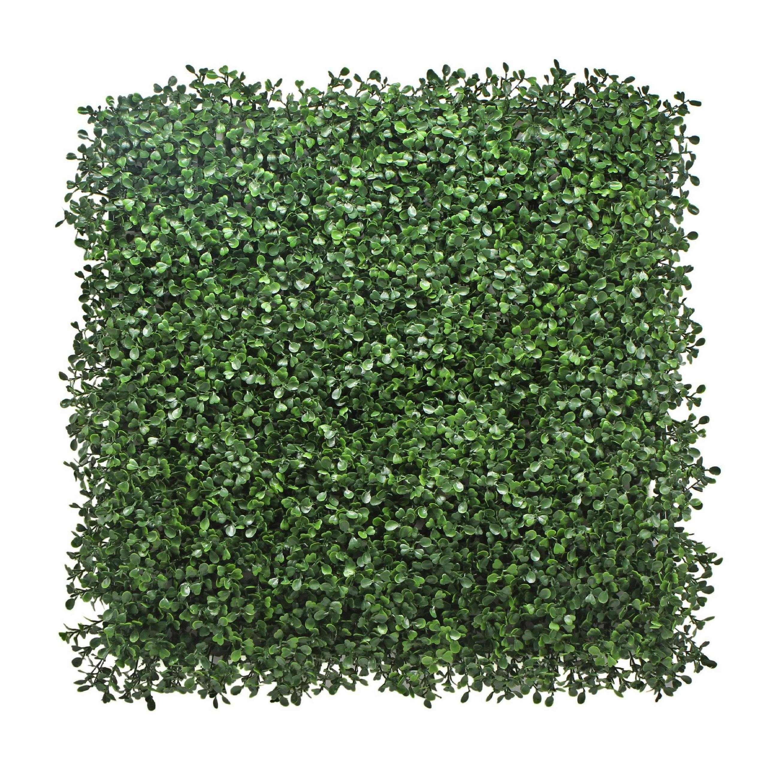 Rackhams Green Boxwood Artificial Living Wall Hedge Mat 50Cm X 50Cm