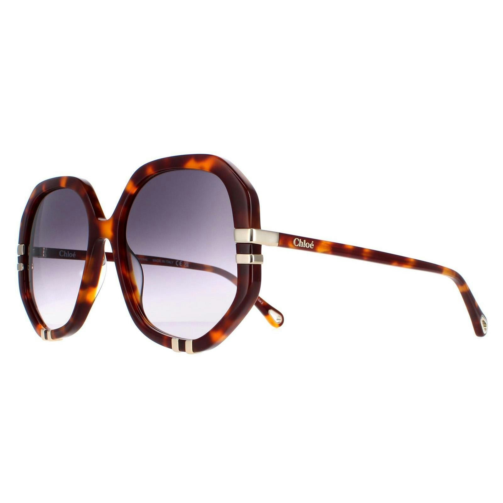 Chloé Women's Grey Chloe Ch0105s Tortoise Sunglasses