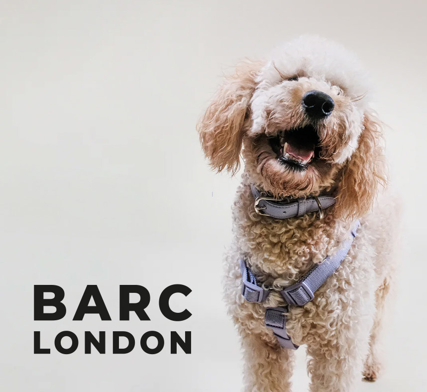 Barc London