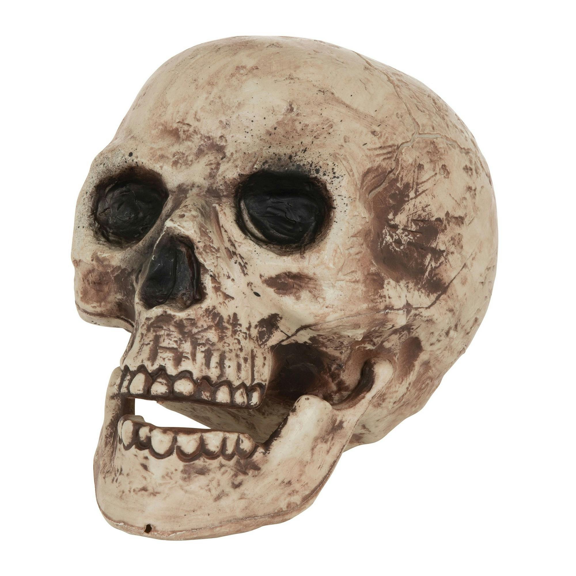 Bristol Novelty Brown Skull Decoration - One Size - 100% Synthetic