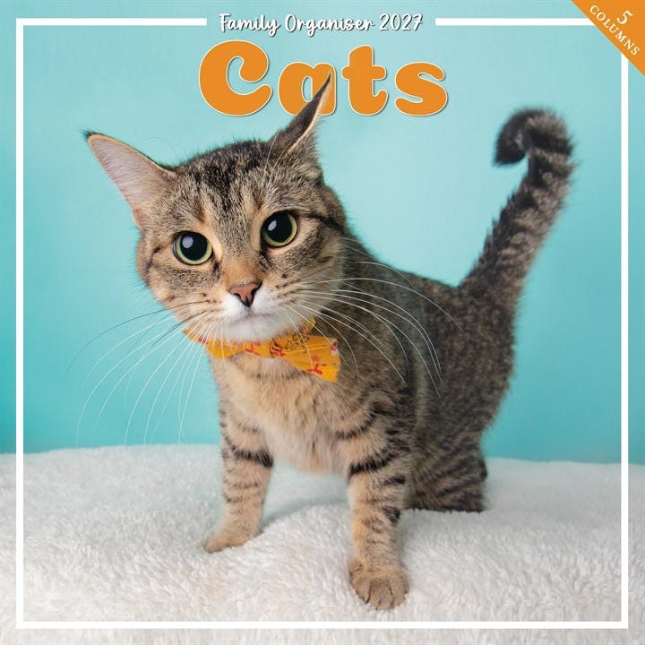 Cats Family Organiser 2027, Family Planners, Month To View, Cats, Gift