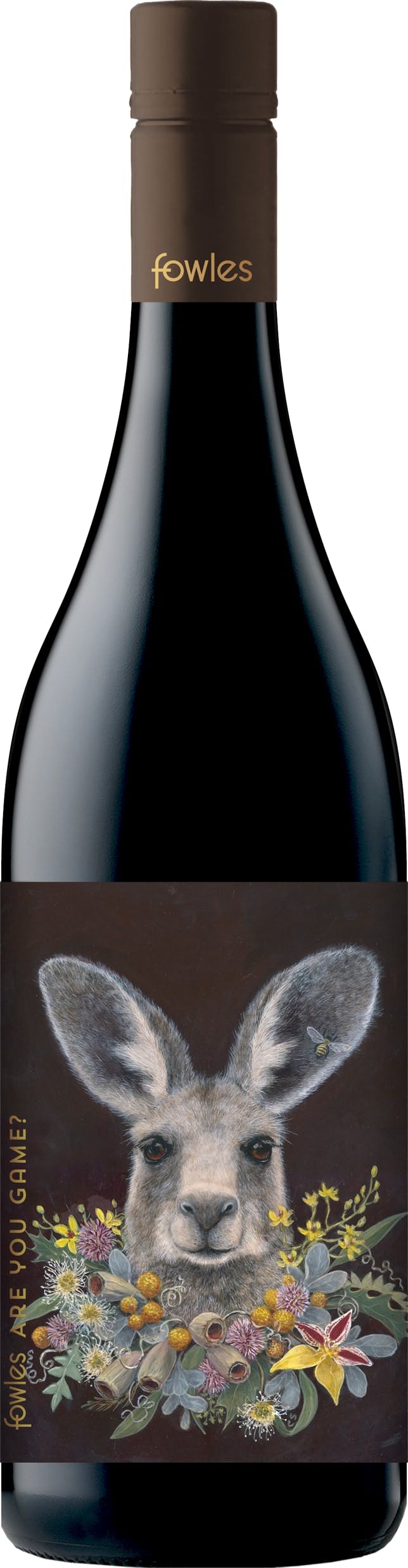 Various Wine Red/Black Fowles Wine Are You Game? Shiraz 2021 75Cl - Pack Of 6