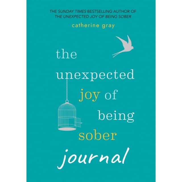 B&Q - The Unexpected Joy Of Being Sober Journal - Image 19