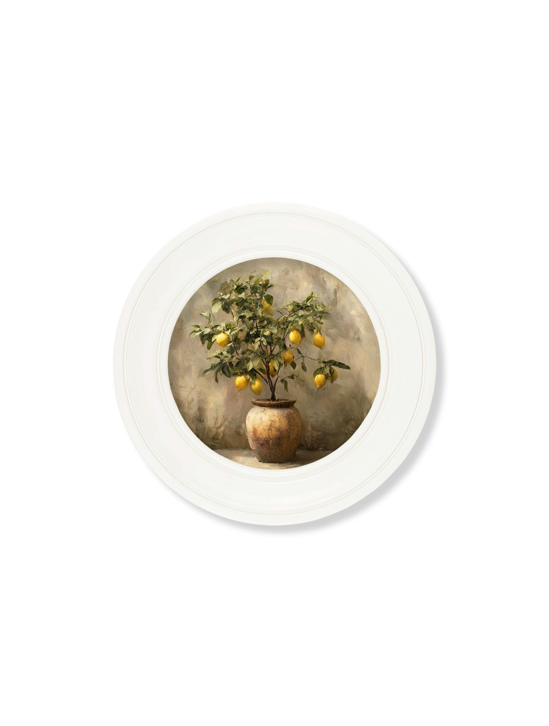 Rackhams White Mediterranean Lemon Tree - Oxford Strong Round Frame - Mediterranean Lemon Tree - 44 X 44 Cm