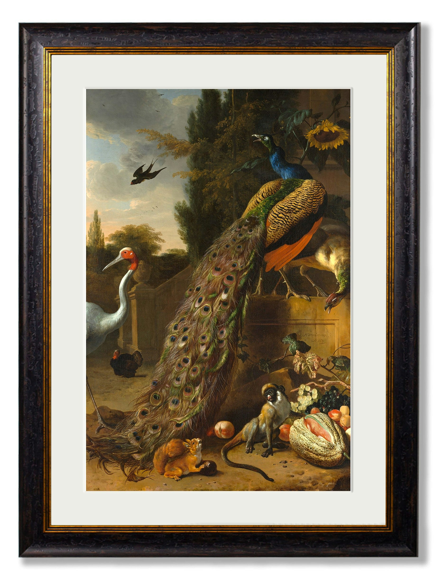 Rackhams Black C.1683 Peacock Painting - 38 X 50Cm - Mounted