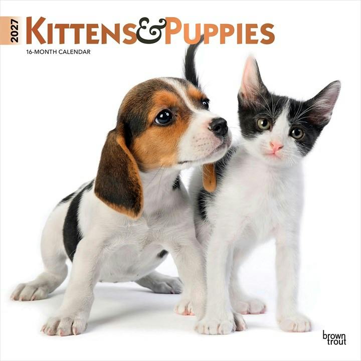 Kittens & Puppies 2027 Square Flap FOIL by Browntrout (Calendar) - Image 6
