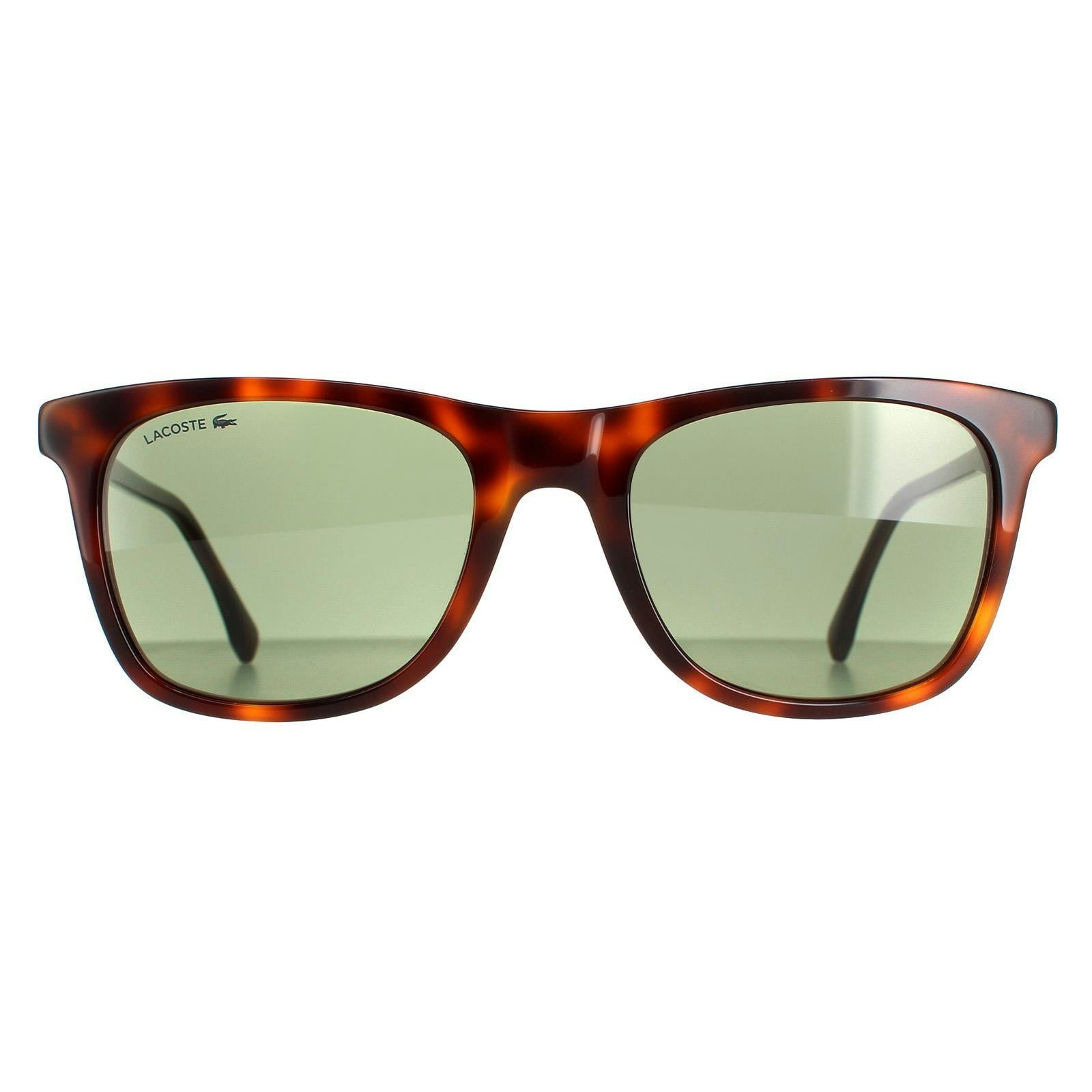 Lacoste Men's Dark L933s Havana Sunglasses