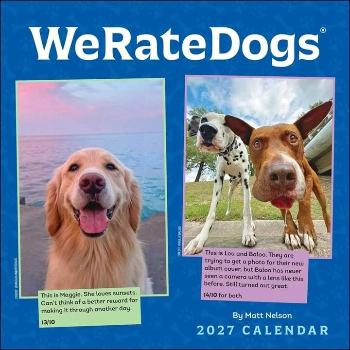 We Rate Dogs Calendar 2027 - Image 7