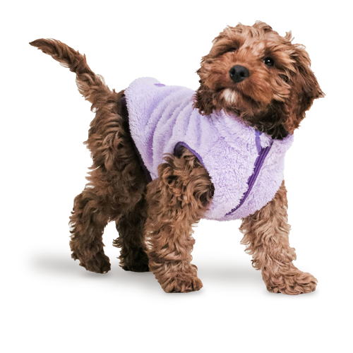 Dog Clothing