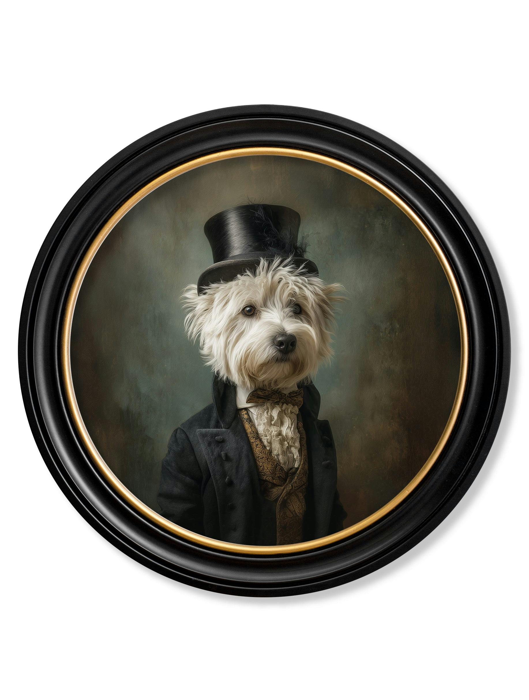 Rackhams Dark/White/Black Lord Westly Tail - Gentleman Westie Oxford Round Frame - 70 X 70Cm