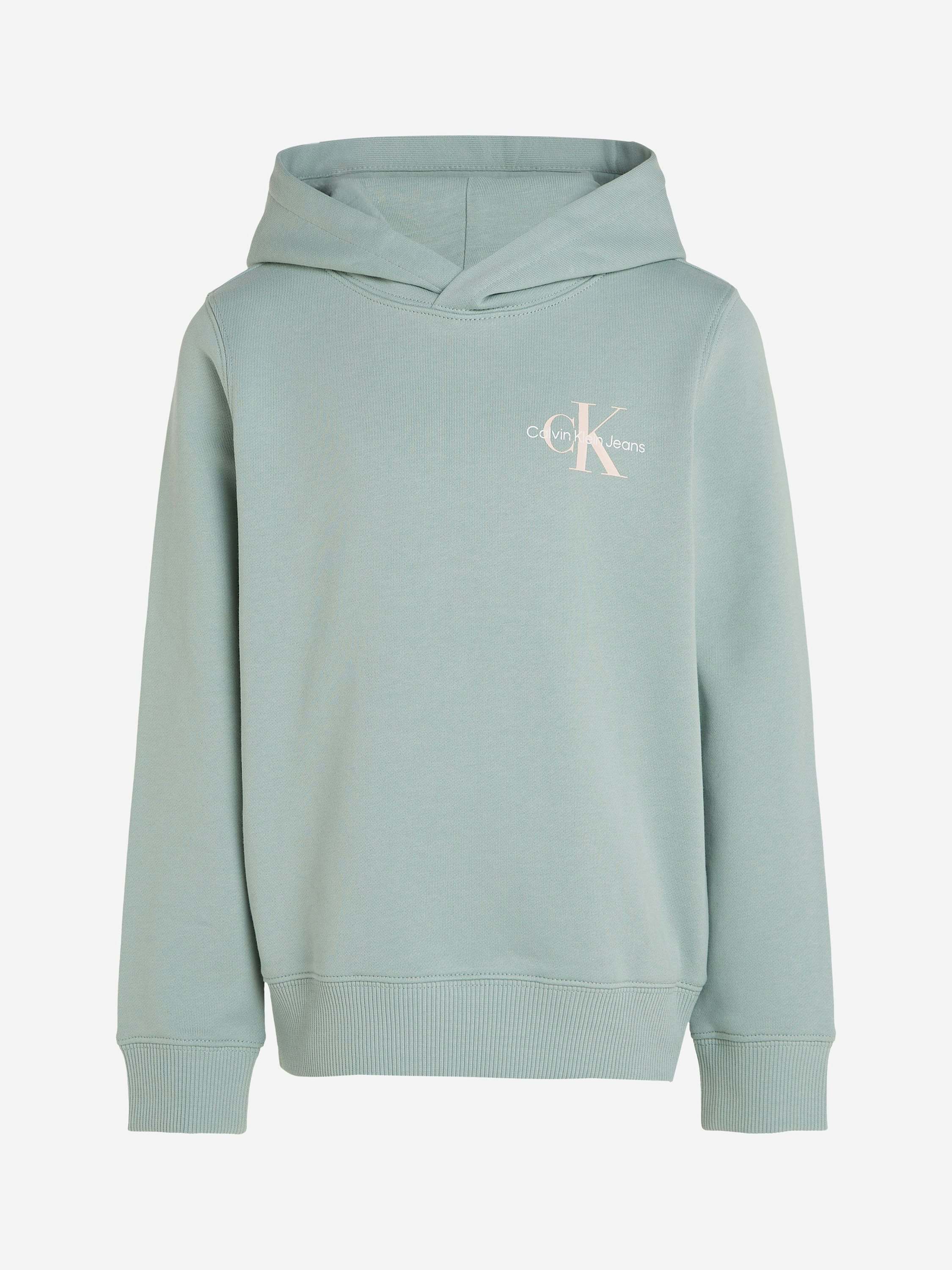 Calvin Klein Green Kids Small Monogram Hoodie In - 16 Yrs