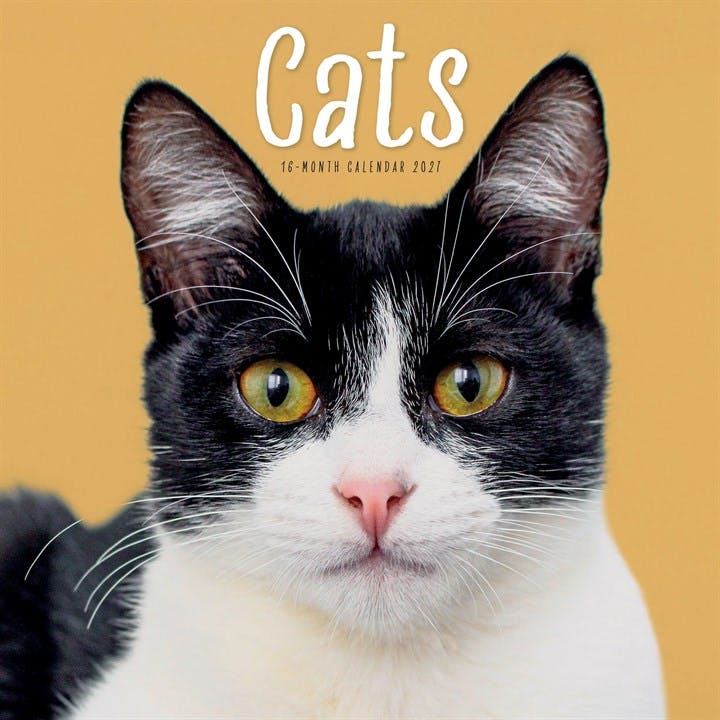 Cats Calendar 2027, Wall Calendars, Month To View, Cats, Gift