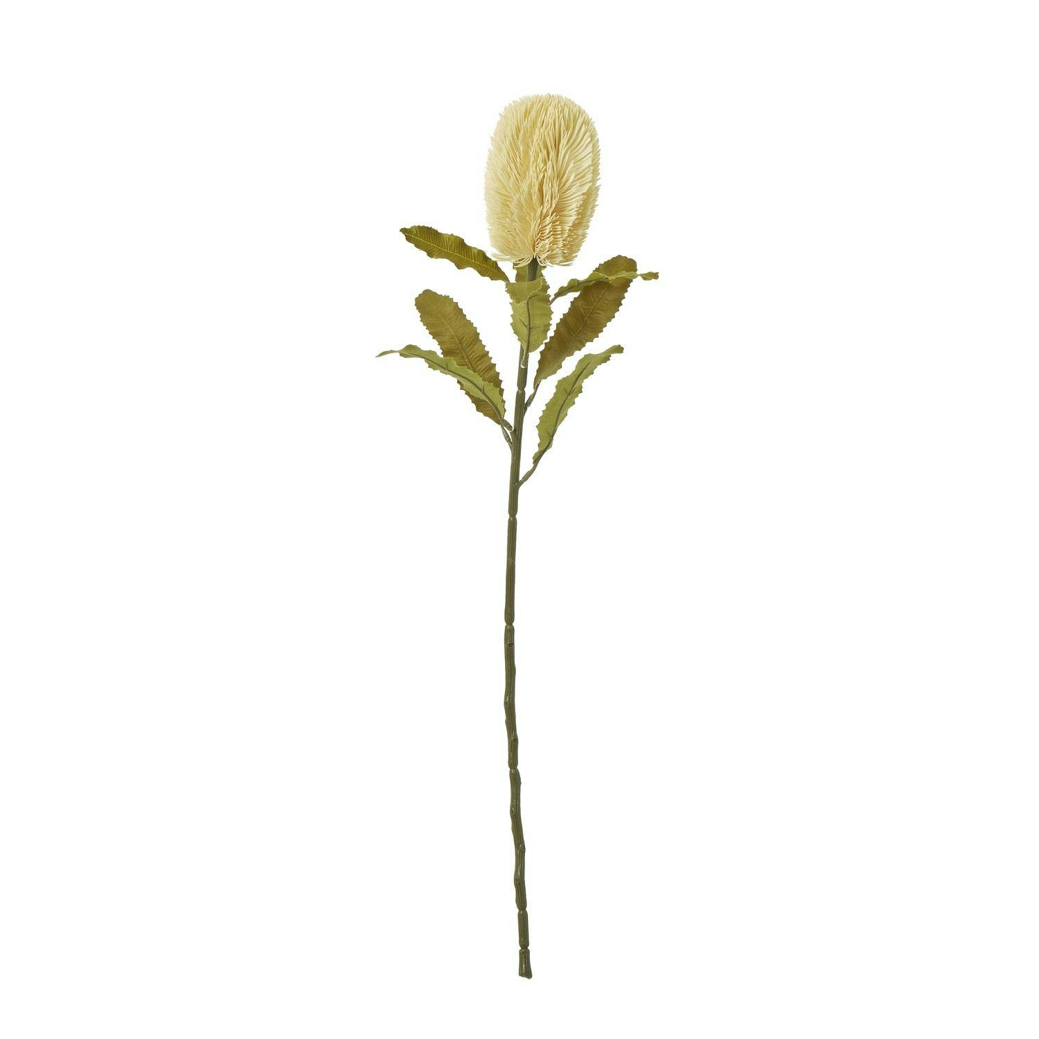 Hill Interiors Unisex Cream Banksia Serrata Artificial Flower In - Image 2
