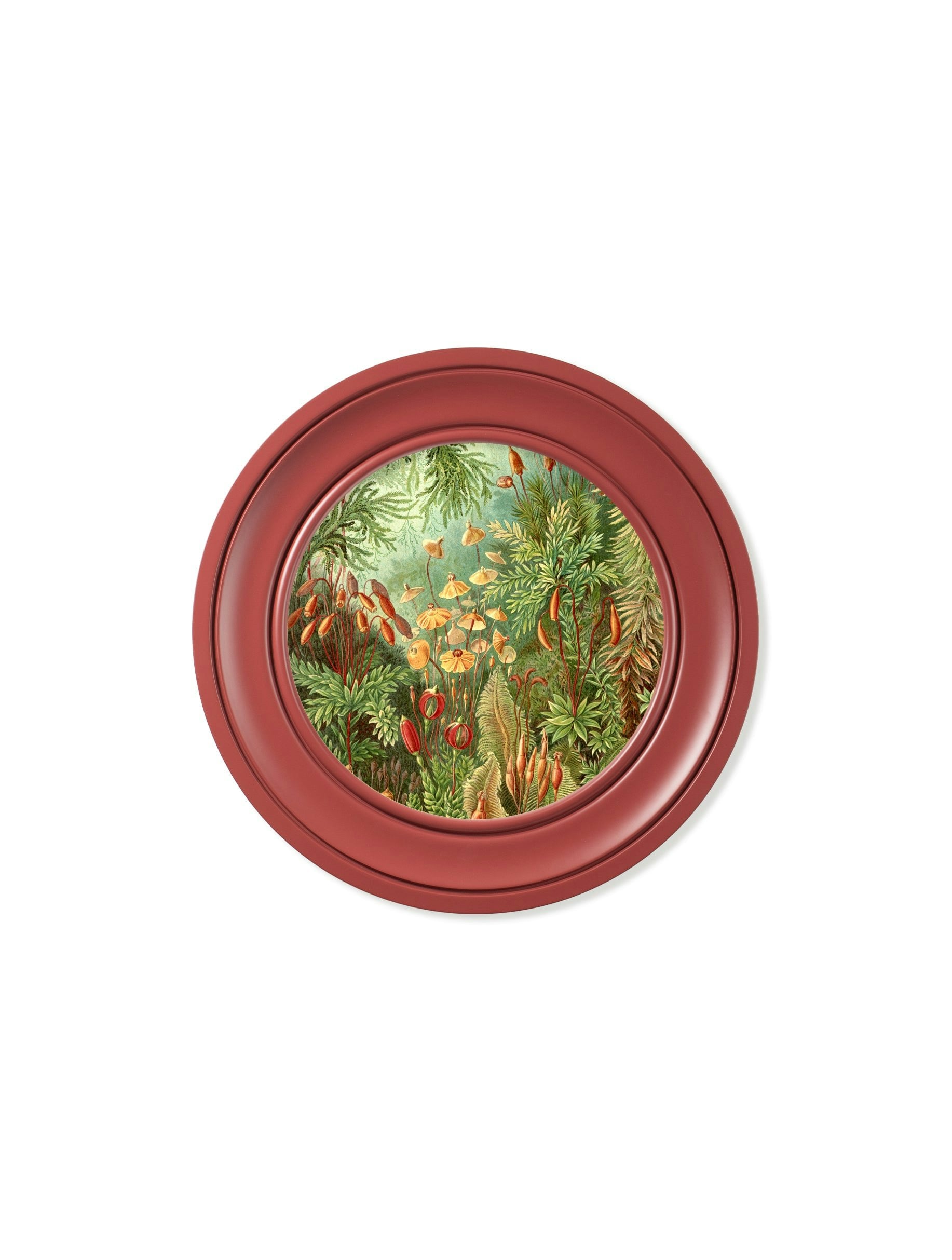Rackhams Red C.1904 Haeckel Flora And Fauna - Round Frames - 44 X 44 Cm - Flora