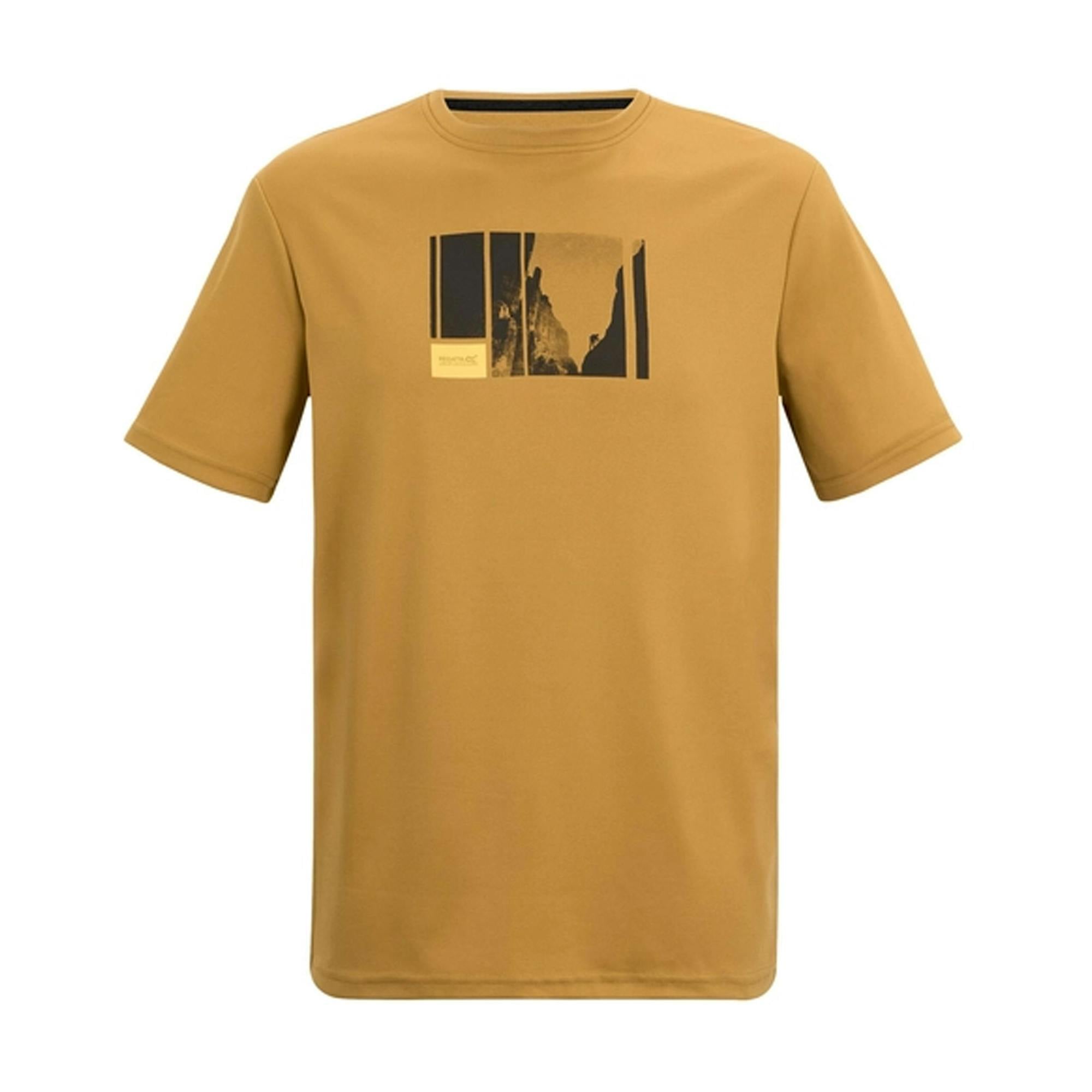 Regatta Men's Brown Fingal Mountain Climbing T-Shirt - Wood - 3XL - Wood - 50% Polyester/50% Recycled Polyester
