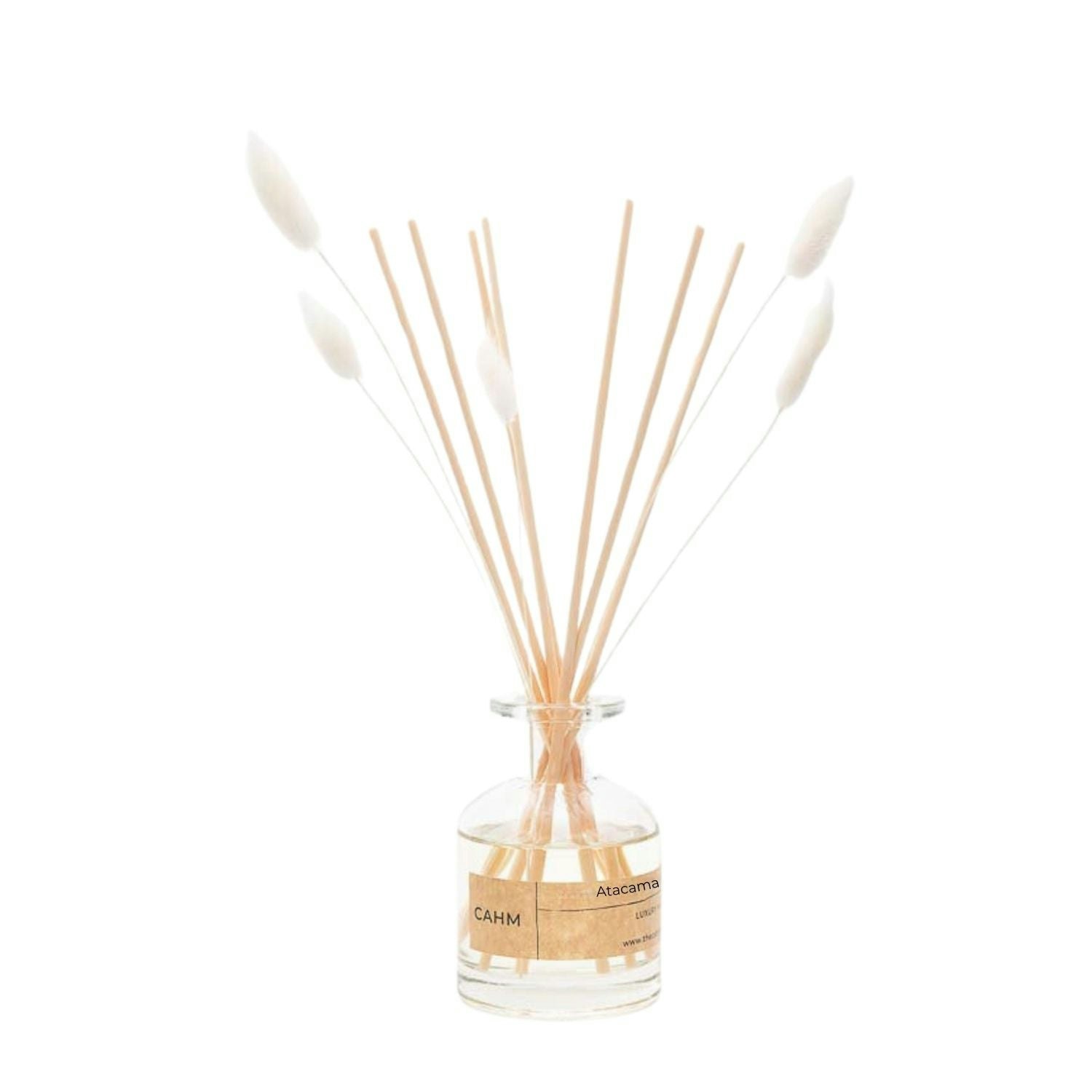 Cahm Orange/Amber Atacama Reed Diffuser - Clear
